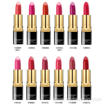 OEM cosmetics waterproof long-lasting matte lipstick